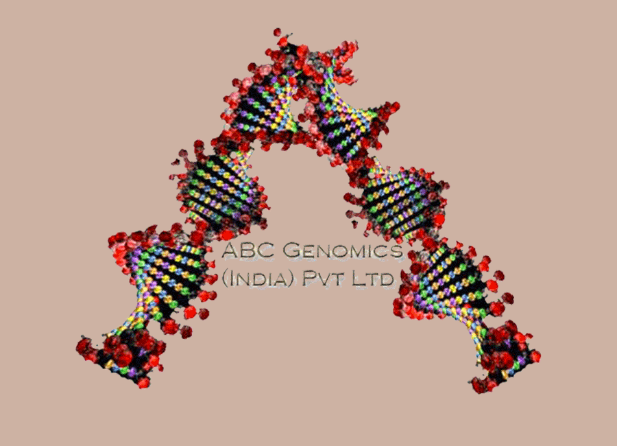 abc genomics pvt ltd logo